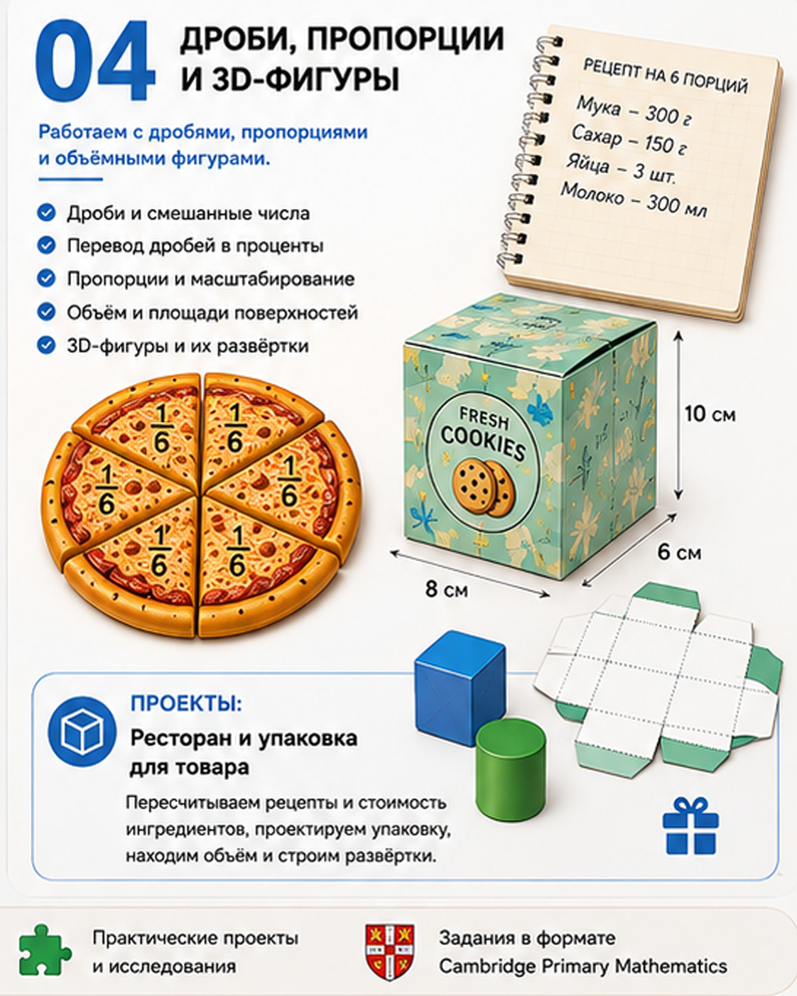04 — Дроби, пропорции и 3D-фигуры